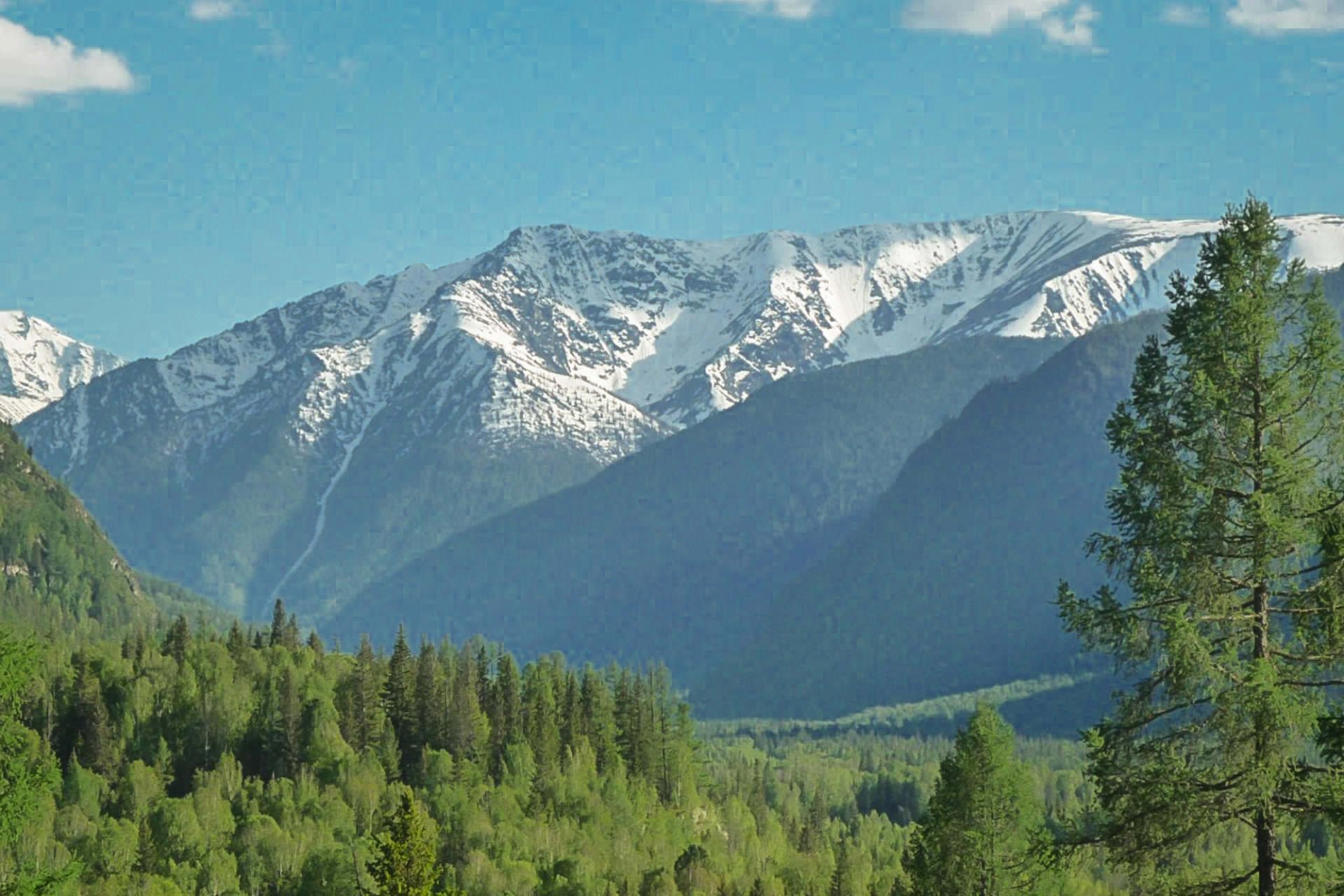 Горы Алтая